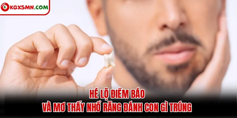 Hé lộ điềm báo và mơ thấy nhổ răng đánh con gì trúng
