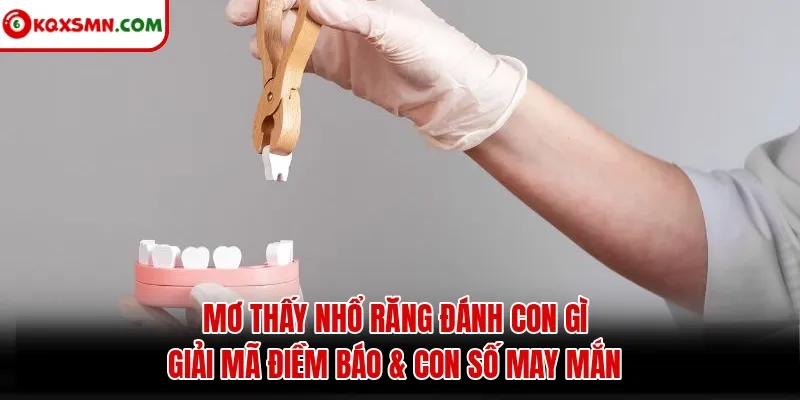 Mơ thấy Nhổ răng đánh con gì? Giải mã điềm báo & con số may mắn