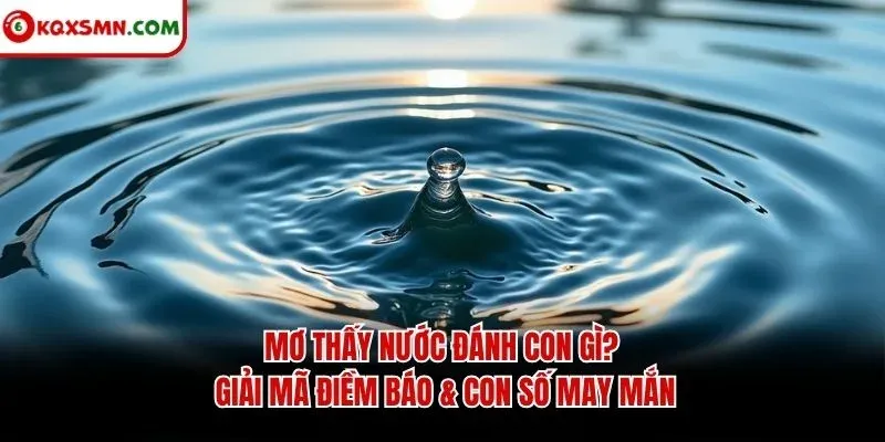 Mơ Thấy Nước Đánh Con Gì? Giải Mã Điềm Báo & Con Số May Mắn