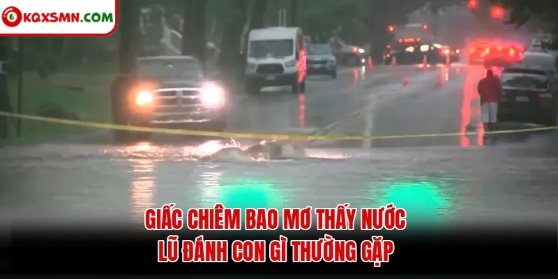 Giấc chiêm bao mơ thấy nước lũ đánh con gì thường gặp