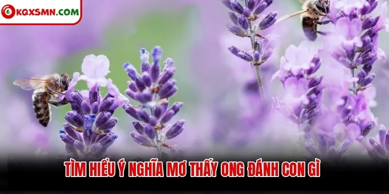 Tìm hiểu ý nghĩa mơ thấy ong đánh con gì