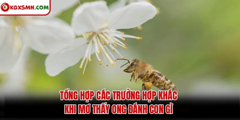 Tổng hợp các trường hợp khác khi mơ thấy ong đánh con gì