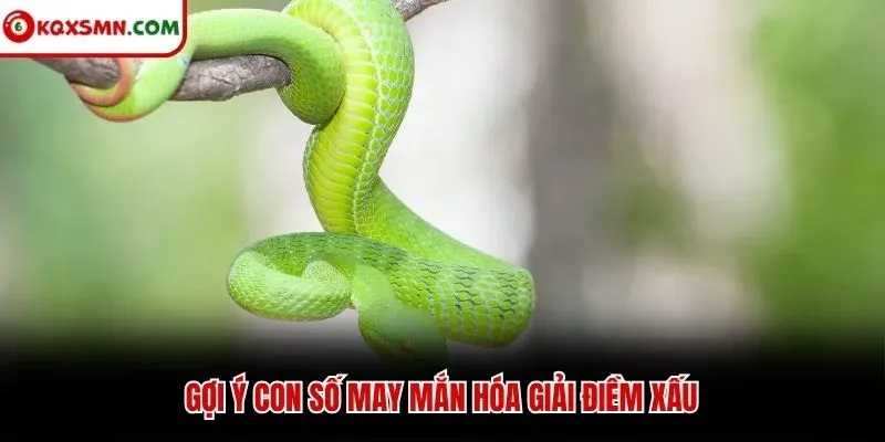 Gợi ý con số may mắn hóa giải điềm xấu