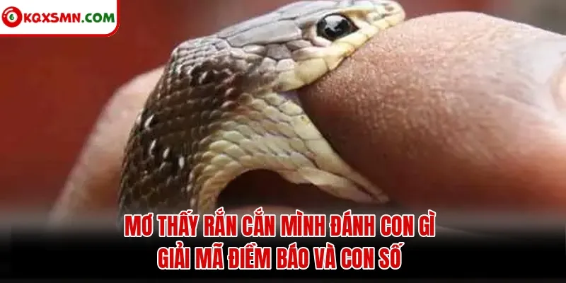 Mơ thấy Rắn cắn mình đánh con gì? Giải mã điềm báo và con số