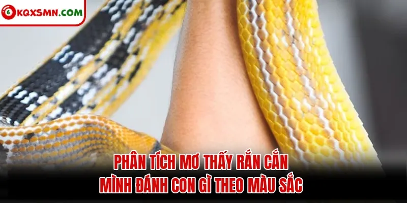 Phân tích mơ thấy rắn cắn mình đánh con gì theo màu sắc