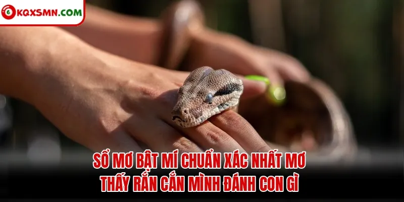 Sổ mơ bật mí chuẩn xác nhất mơ thấy rắn cắn mình đánh con gì