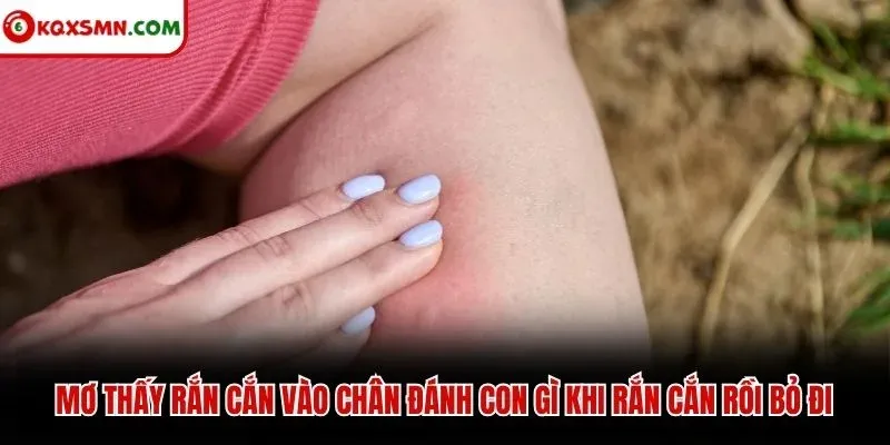 Mơ thấy rắn cắn vào chân đánh con gì khi rắn cắn rồi bỏ đi