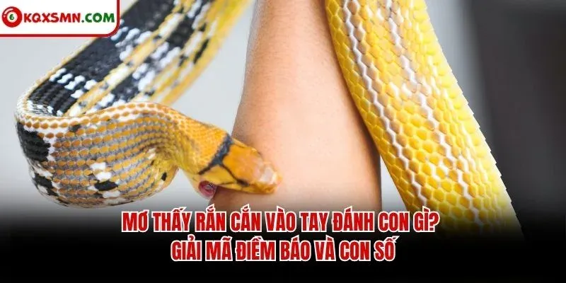 Mơ thấy Rắn cắn vào tay đánh con gì? Giải mã điềm báo và con số