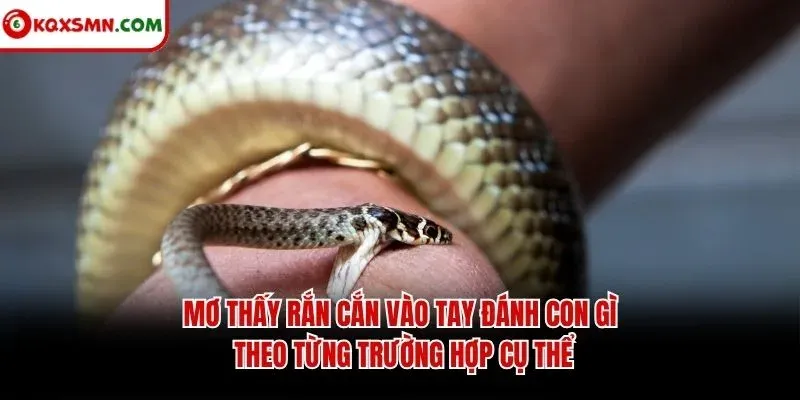 Mơ thấy rắn cắn vào tay đánh con gì theo từng trường hợp cụ thể