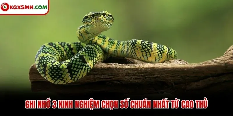Ghi nhớ 3 kinh nghiệm chọn số chuẩn nhất từ cao thủ