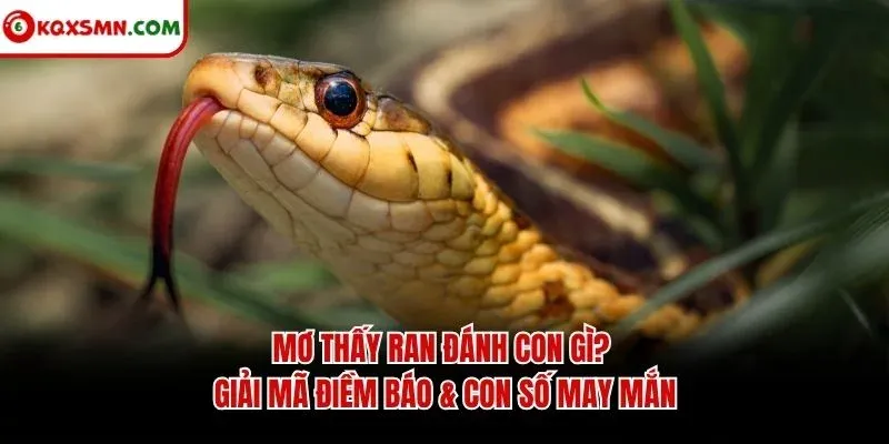 Mơ thấy Rắn đánh con gì? Giải mã điềm báo & con số may mắn