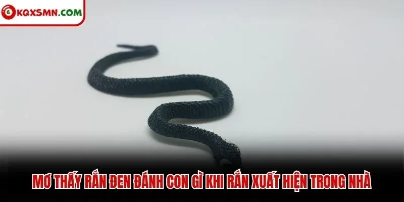 Mơ thấy rắn đen đánh con gì khi rắn xuất hiện trong nhà