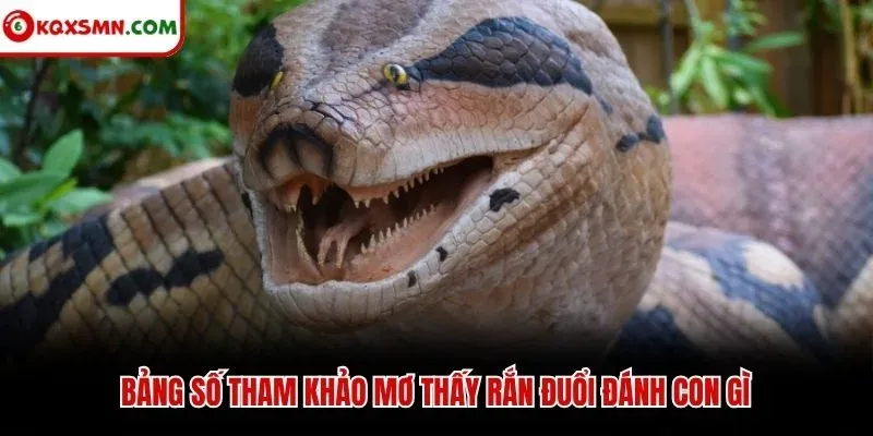 Bảng số tham khảo mơ thấy rắn đuổi đánh con gì