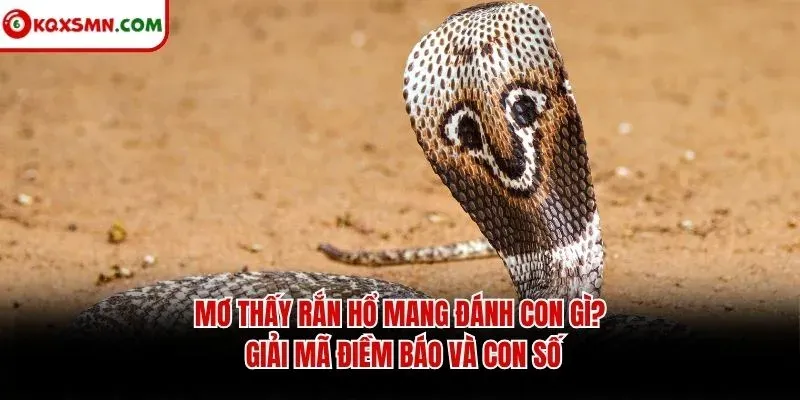Mơ thấy Rắn hổ mang đánh con gì? Giải mã điềm báo và con số