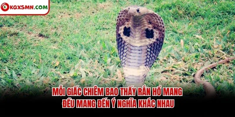 Mỗi giấc chiêm bao thấy rắn hổ mang đều mang đến ý nghĩa khác nhau