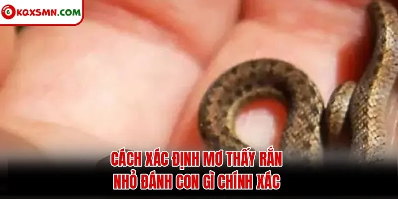 Cách xác định mơ thấy rắn nhỏ đánh con gì chính xác