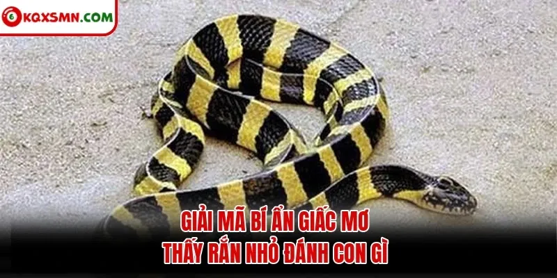 Giải mã bí ẩn giấc mơ thấy rắn nhỏ đánh con gì