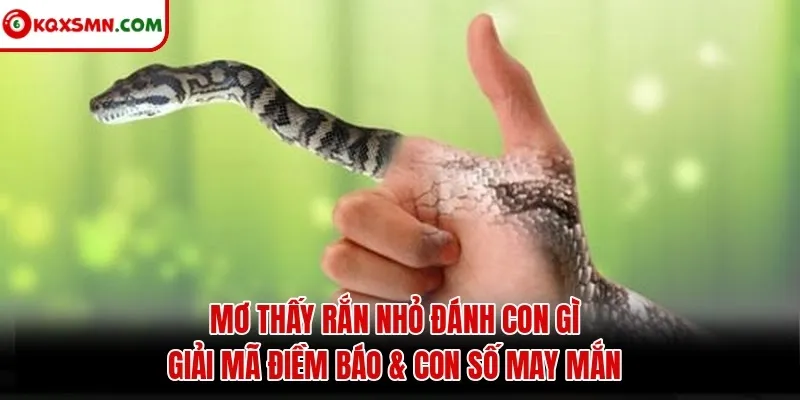 Mơ Thấy Rắn Nhỏ Đánh Con Gì - Giải Mã Điềm Báo & Con Số May Mắn