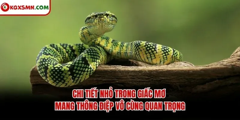Chi tiết nhỏ trong giấc mơ mang thông điệp vô cùng quan trọng