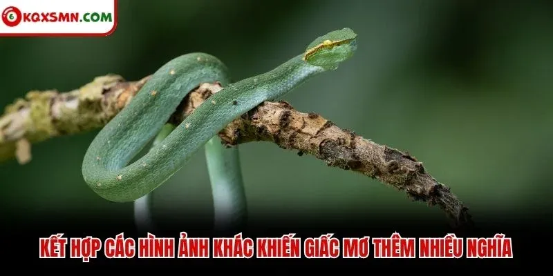 Kết hợp các hình ảnh khác khiến giấc mơ thêm nhiều nghĩa