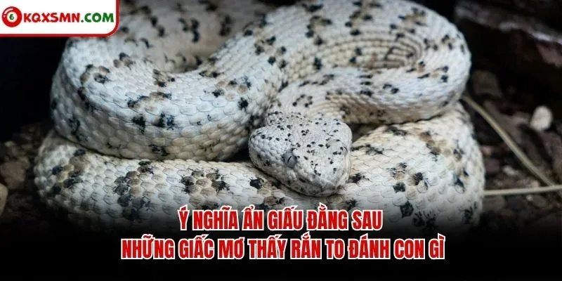 Ý nghĩa ẩn giấu đằng sau những giấc mơ thấy rắn to đánh con gì