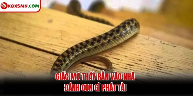 Giấc mơ thấy rắn vào nhà đánh con gì phát tài