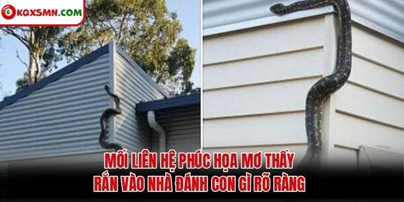 Mối liên hệ phúc họa mơ thấy rắn vào nhà đánh con gì rõ ràng