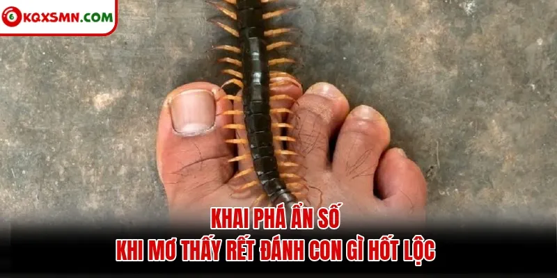 Khai phá ẩn số khi mơ thấy rết đánh con gì hốt lộc