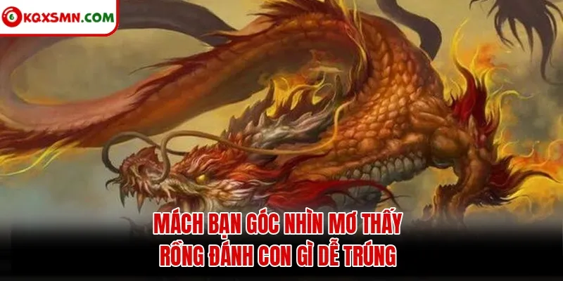 Mách bạn góc nhìn mơ thấy rồng đánh con gì dễ trúng