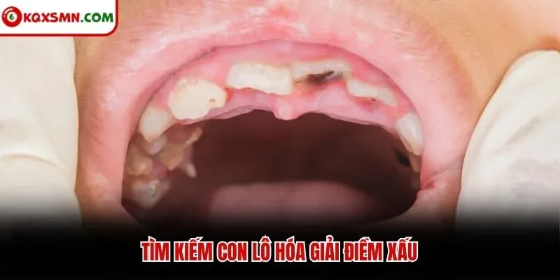 Tìm kiếm con lô hóa giải điềm xấu