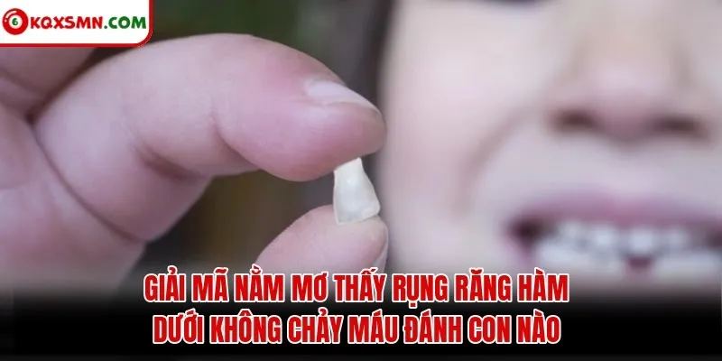 Giải mã Nằm Mơ Thấy Rụng Răng Hàm Dưới Không Chảy Máu Đánh Con Nào