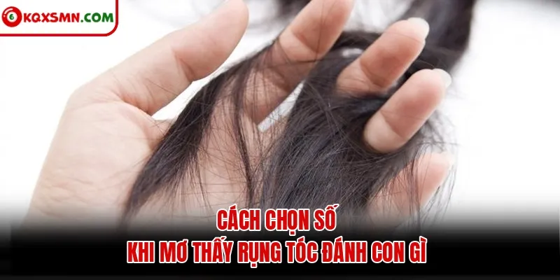 Cách chọn số khi mơ thấy rụng tóc đánh con gì