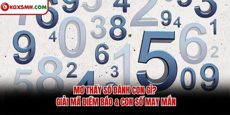 Mơ thấy Số đánh con gì? Giải mã điềm báo & con số may mắn