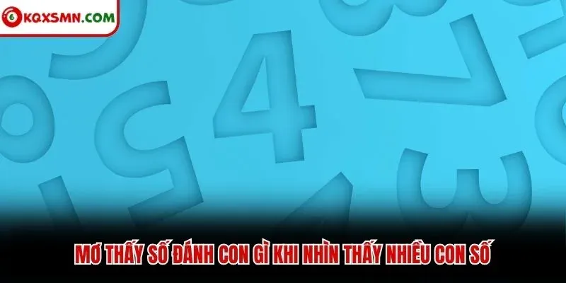 Mơ thấy số đánh con gì khi nhìn thấy nhiều con số