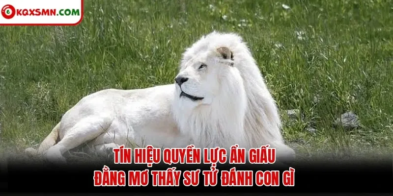Tín hiệu quyền lực ẩn giấu đằng mơ thấy sư tử đánh con gì