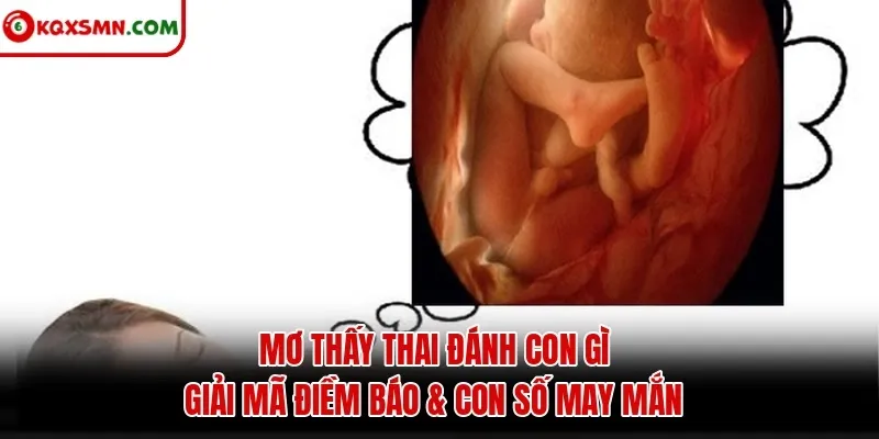 Mơ thấy Thai đánh con gì? Giải mã điềm báo & con số may mắn