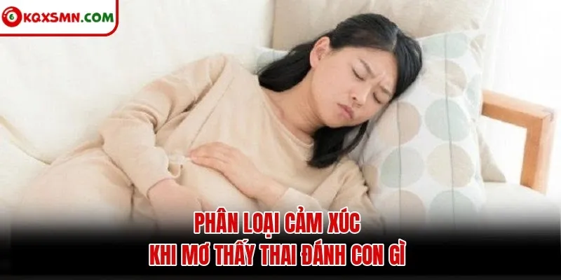 Phân loại cảm xúc khi mơ thấy thai đánh con gì
