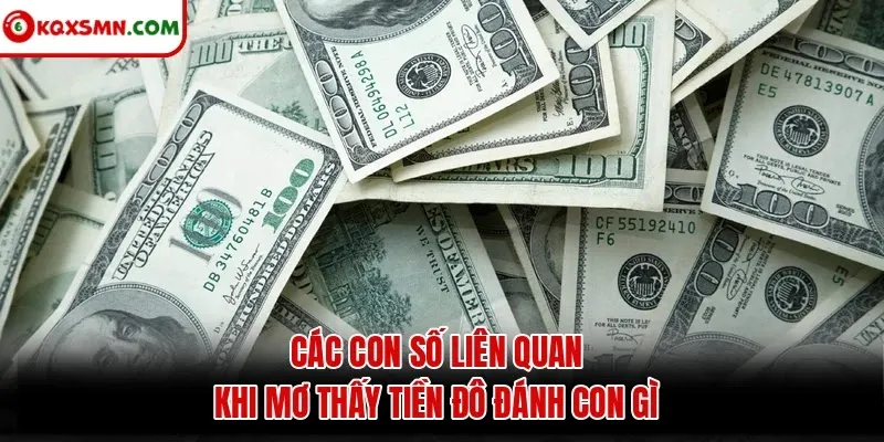 Các con số liên quan khi mơ thấy tiền đô đánh con gì