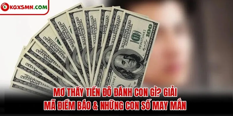 Mơ Thấy Tiền Đô Đánh Con Gì? Giải Mã Điềm Báo & Những Con Số May Mắn