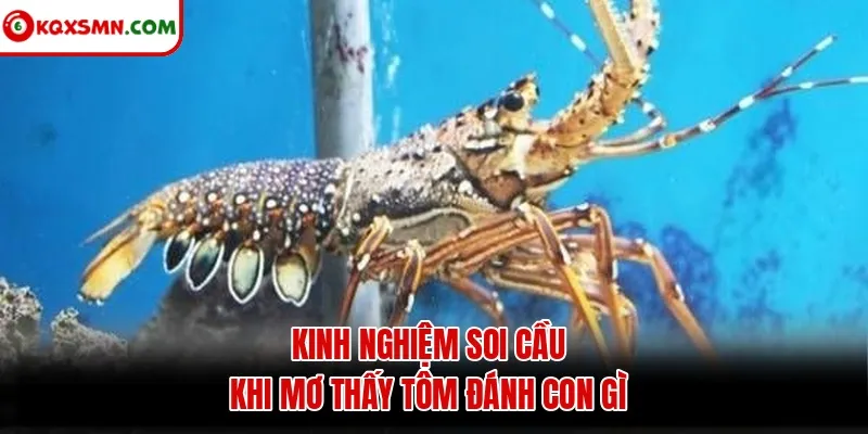 Kinh nghiệm soi cầu khi mơ thấy tôm đánh con gì