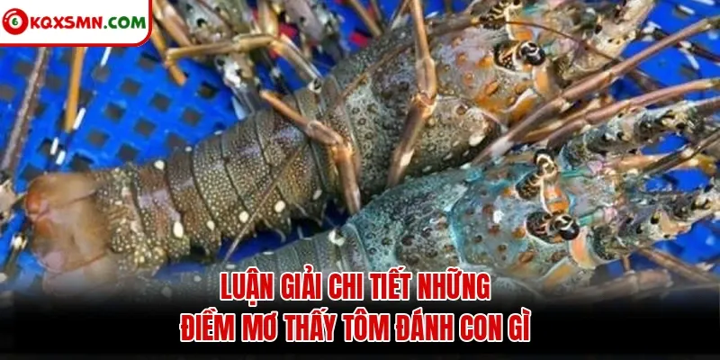Luận giải chi tiết những điềm mơ thấy tôm đánh con gì