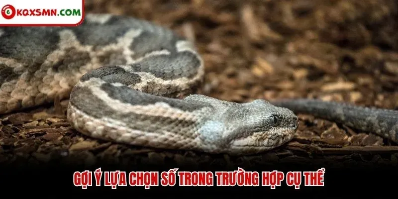 Gợi ý lựa chọn số trong trường hợp cụ thể