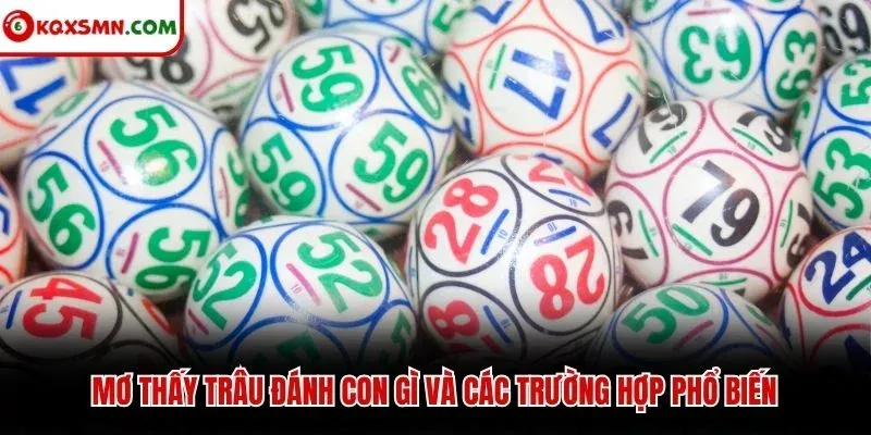 Mơ thấy trâu đánh con gì và các trường hợp phổ biến