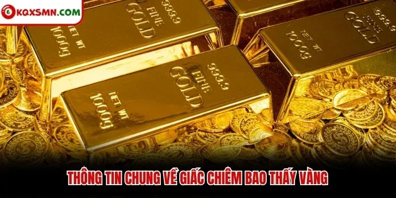 Thông tin chung về giấc chiêm bao thấy vàng
