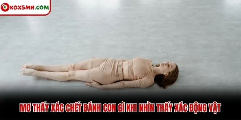 Mơ thấy xác chết đánh con gì khi nhìn thấy xác động vật